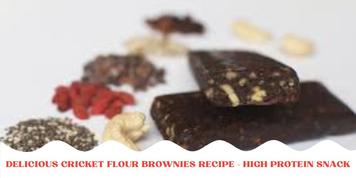 Delicious Cricket Flour Brownies Recipe – High Protein Snack